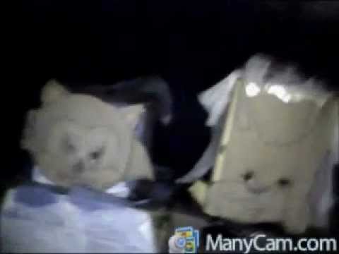 My Sonic the hedgehog and Bartleby Montclair costumes